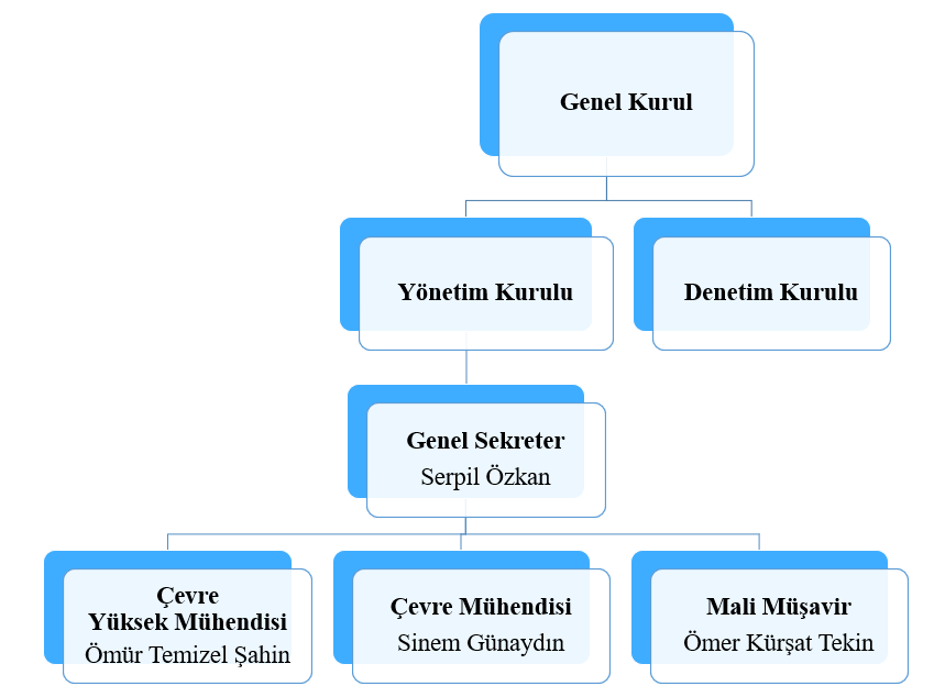 Organizasyon Şeması