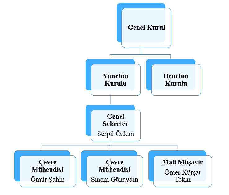 Organizasyon Şeması